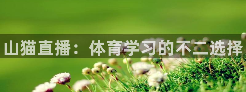 蜘蛛直播间足球：山猫直播：体育学习的不二选择