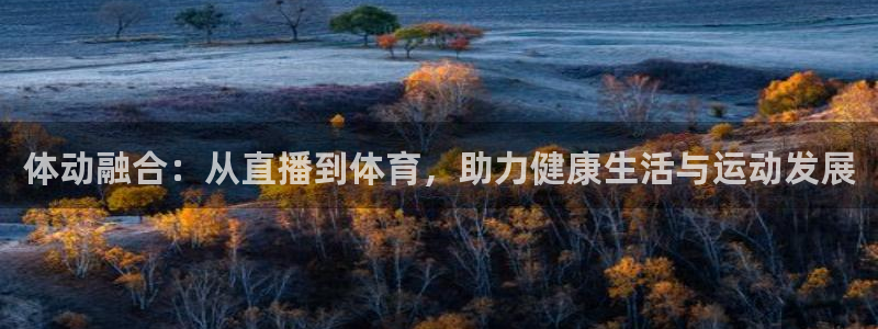 蜘蛛直播低调：体动融合：从直播到体育，助力健康生活与运动发展