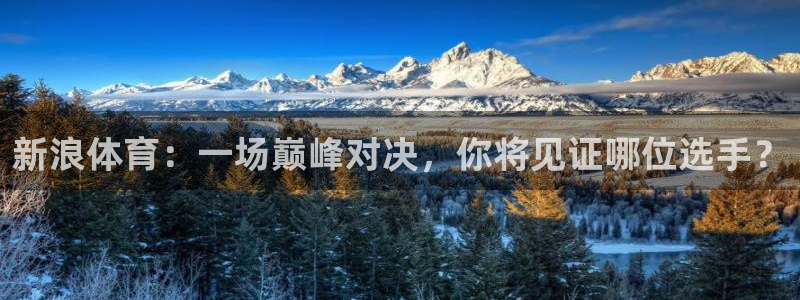 蜘蛛直播下载安卓版：新浪体育：一场巅峰对决，你将见证哪位选手？