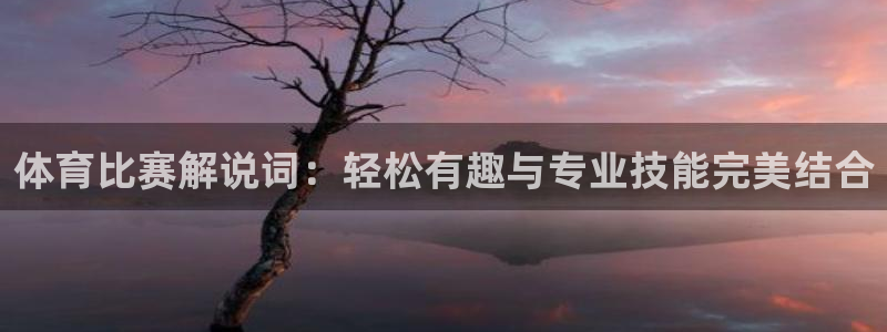 蜘蛛直播如何下载：体育比赛解说词：轻松有趣与专业技能完美结合