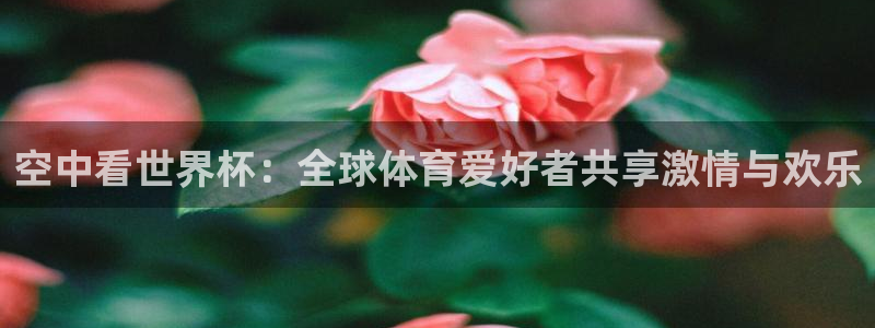 蜘蛛直播官网：空中看世界杯：全球体育爱好者共享激情与欢乐